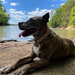 Meet your Posher, Gene